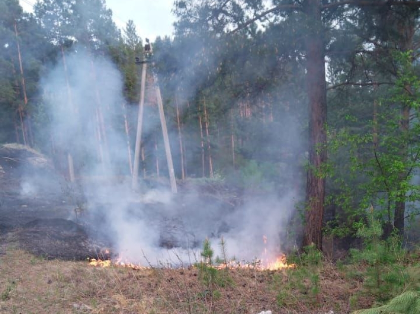 Три лесных пожара локализовали за текущие сутки в Забайкалье